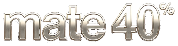 mate 40 logo